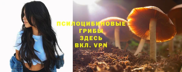 не бодяженный Абдулино